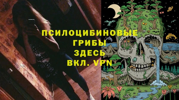 прущая мука Алексин