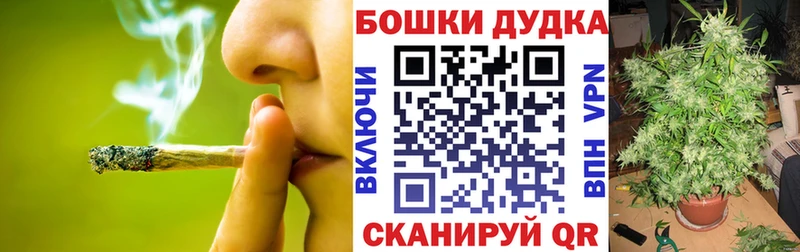 Конопля план  закладка  Зеленокумск 